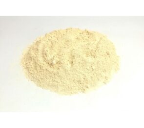 AGLIO DISIDRATATO IN POLVERE KG.01