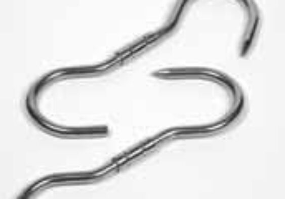 Galleria Di Immagini