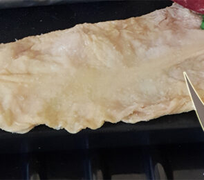 MULETTE MAIALE PELATE 4045