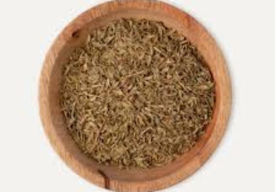 Galleria Di Immagini