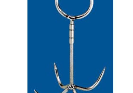 Galleria Di Immagini