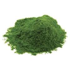 SPINACI IN POLVERE KG.01