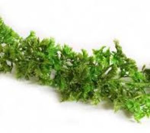 GHIRLANDA FINTO PREZZEMOLO LS 270