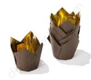 PIROTTINO TULIPA STAR MM50 45H PZ 30