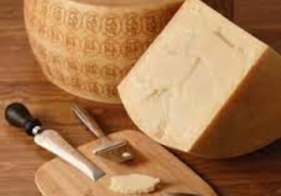 Galleria Di Immagini