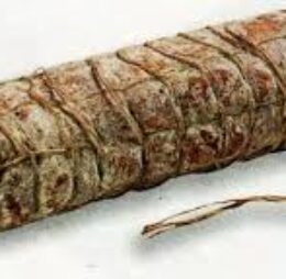 FILZETTA DI MAIALE 60/70 MT 7