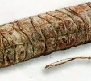 FILZETTA DI MAIALE 60/70 MT 7