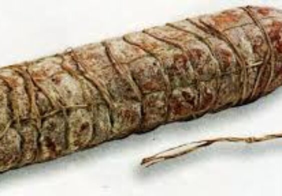 Galleria Di Immagini