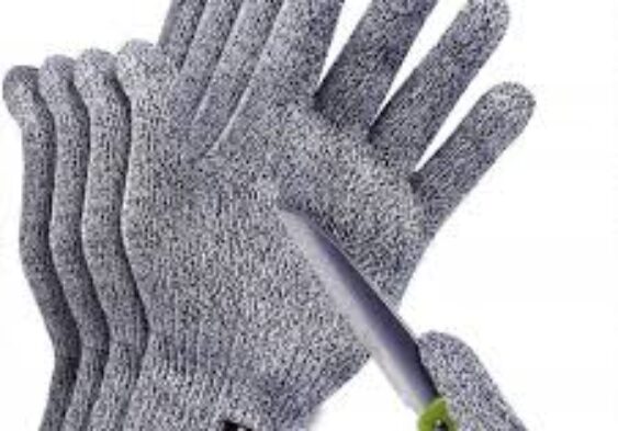 Galleria Di Immagini