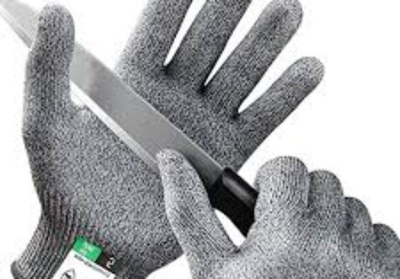 Galleria Di Immagini