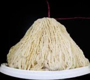 BUDELLA DI MONTONE CAL. 20/22 FL 100 YA