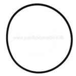 8950GUARNIZIONE OR 8725
INSACCATRICE SIRMAN 240X7X7 IS 30OR-24V MAN