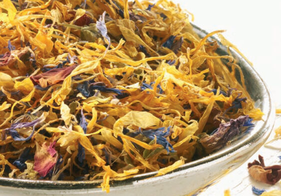 Galleria Di Immagini