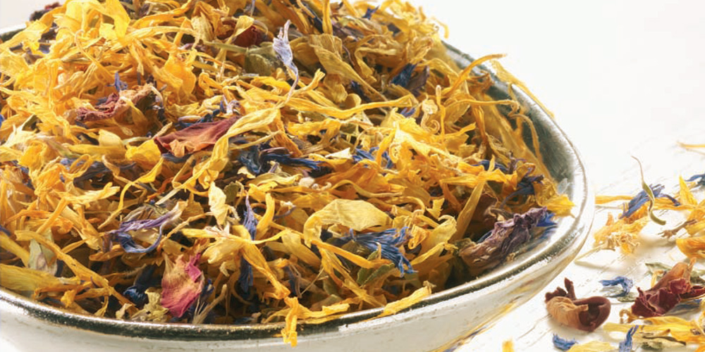 Galleria Di Immagini