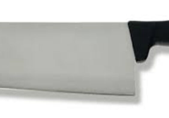 Galleria Di Immagini