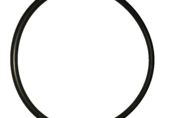 Galleria Di Immagini