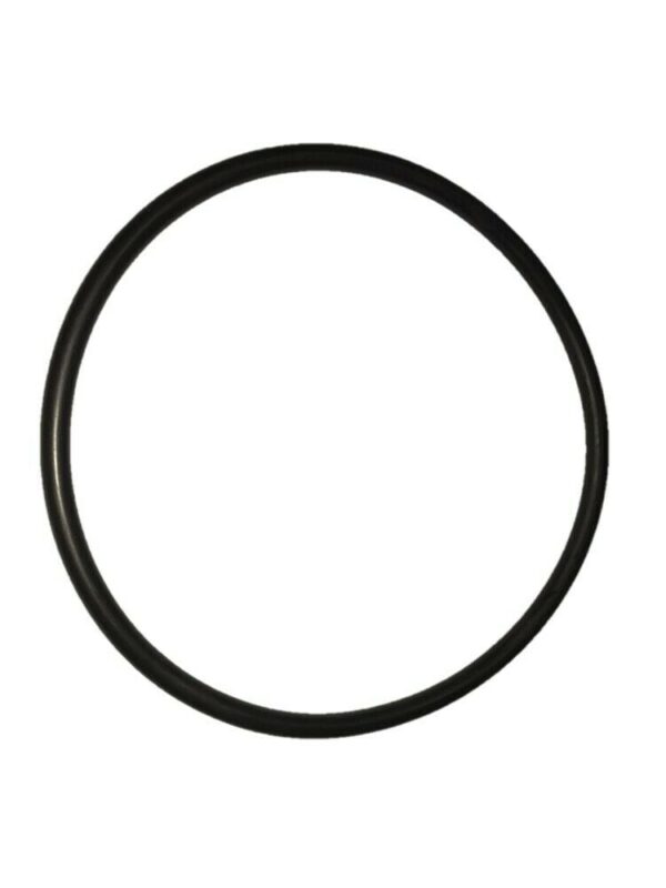 GUARNIZIONE OR 8600
INSACCATRICE SIRMAN 151.8x7 IS8
GRANDE