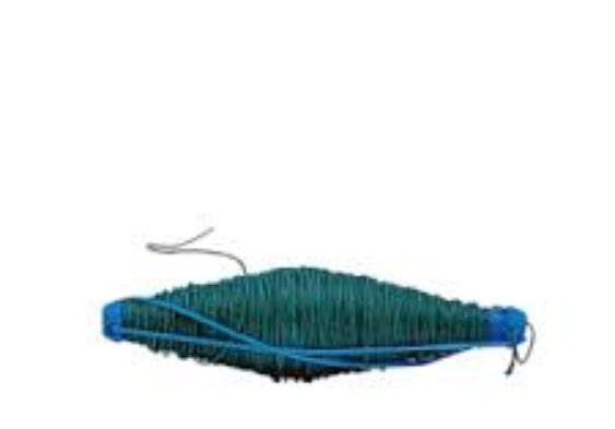 Galleria Di Immagini