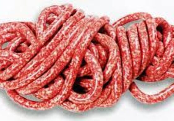 Galleria Di Immagini