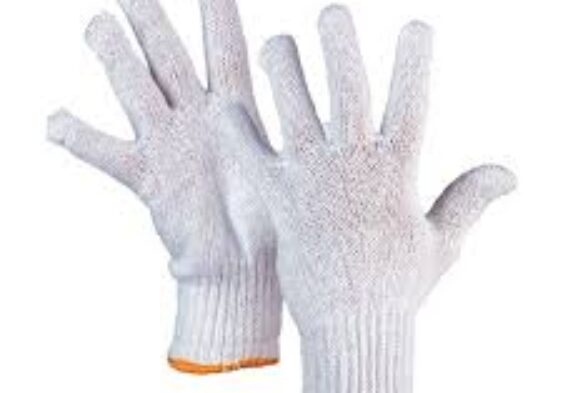 Galleria Di Immagini