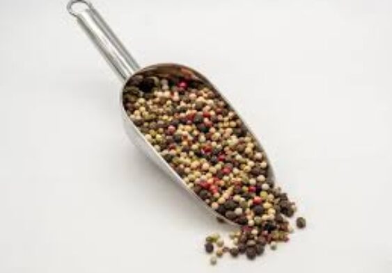 Galleria Di Immagini