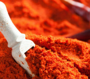 PIASTRA INTERCAMBIABILE &Oslash; 130 PER HAMBURGATRICE SIRMAN