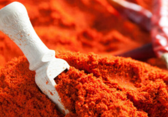 Galleria Di Immagini