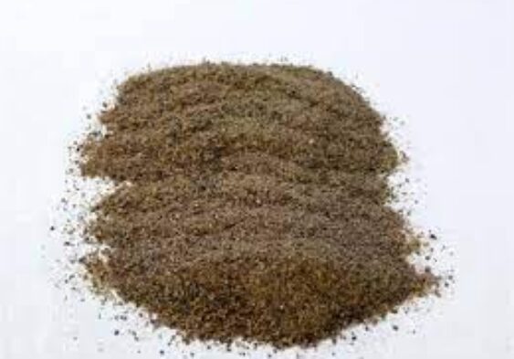 Galleria Di Immagini